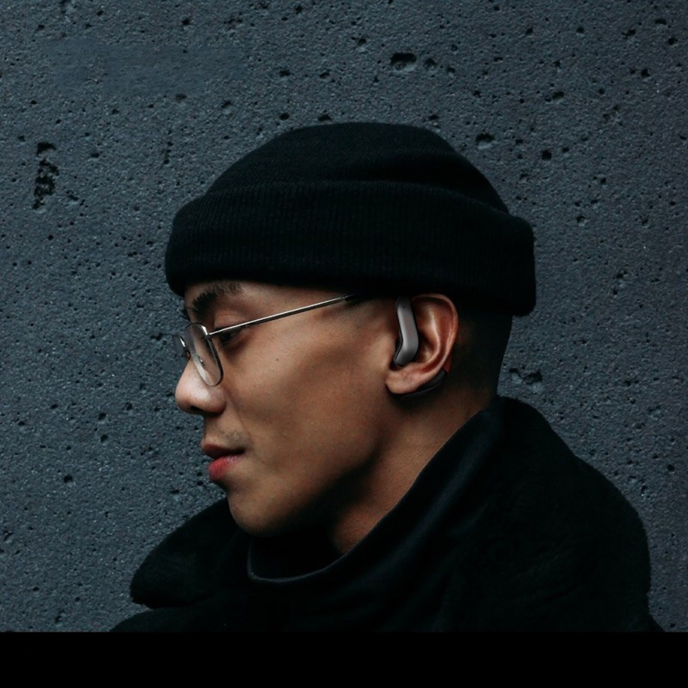 Earphones