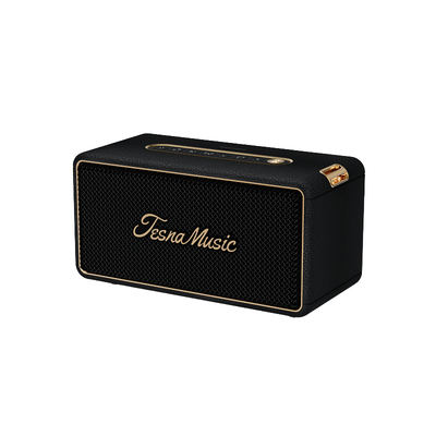Premium Black Bluetooth speaker with 'Tesna Music' branding on a white background