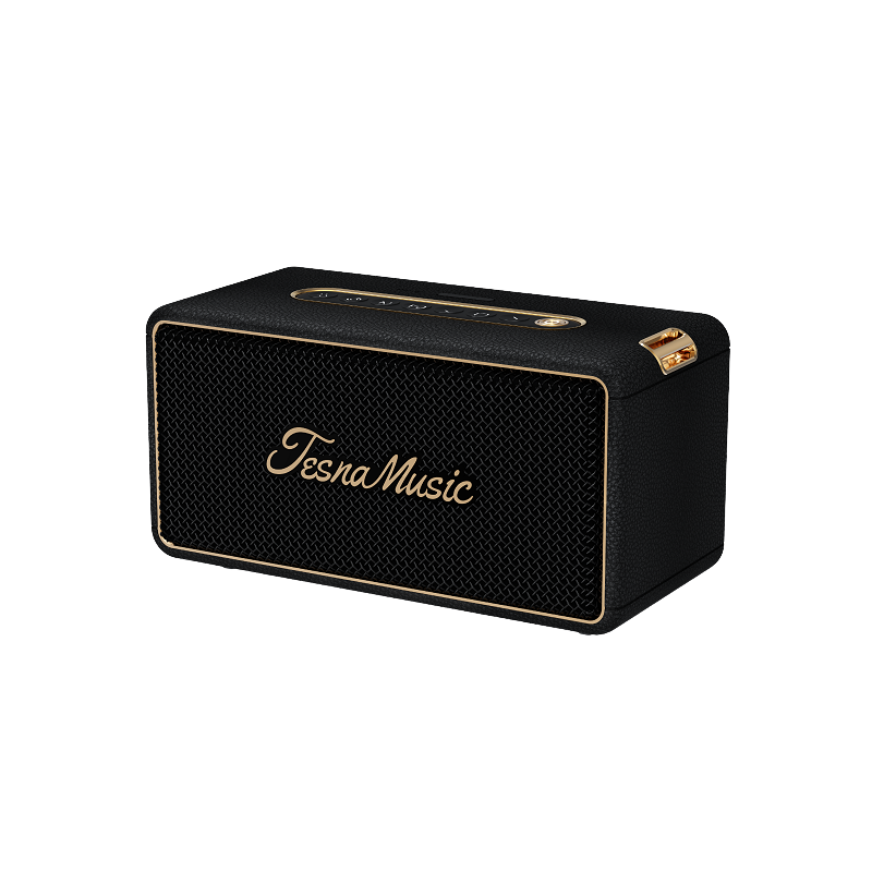 Premium Black Bluetooth speaker with 'Tesna Music' branding on a white background