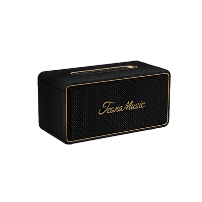 Black Bluetooth speaker with 'Tesna Music' branding on a white background